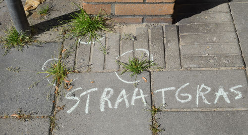 Botanisch stoepkrijten