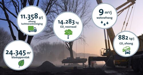 Masterclass i-Tree Eco door BTL Bomendienst