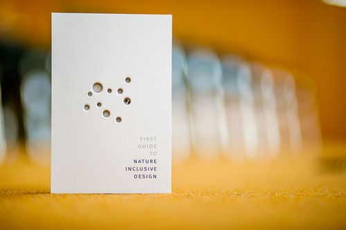 Natuurinclusief ontwerp tijdens Dag van de Biodiversiteit
