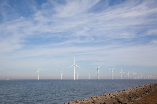 Is grootschalige aanleg windparken slecht voor natuur?