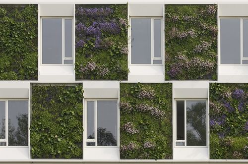 ‘Groen is hét bouwmateriaal van de toekomst’