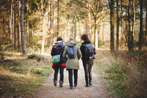 Aantrekkelijke, groene leefomgeving stimuleert beweging