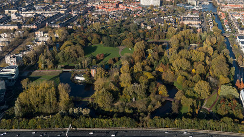 Stilstaan bij het belang van bossen en bomen 