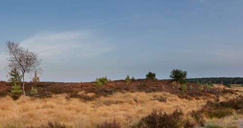 Droogteproblemen houden ook volgend jaar aan