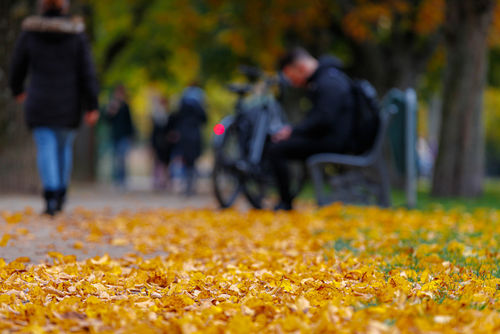 Massaal op zoek naar natuur door corona