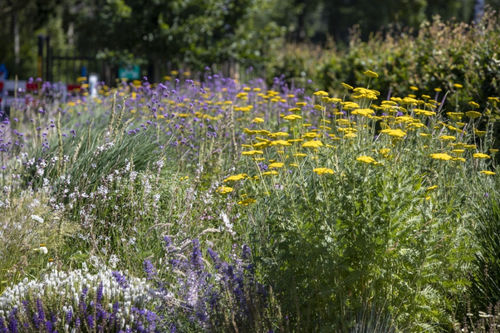 Duurzaamheidscheck idverde Advies