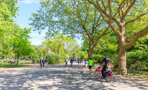 Amsterdam toetst groenbehoefte inwoners