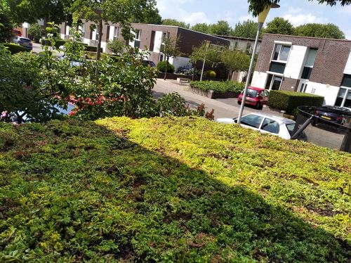 Natuurinclusief burgerinitiatief Zwolle zet wél zoden aan de dijk