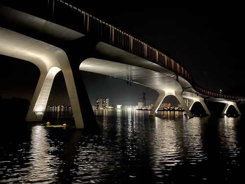 Natuurinclusief lichtplan voor iconische brug over Weerwater Almere