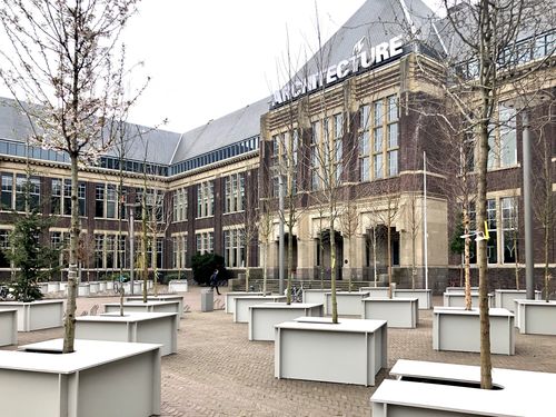 Onderzoek naar verkoeling stad door verschillende boommodellen