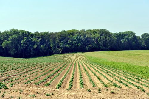 Landbouwramp officieel erkend in Vlaanderen