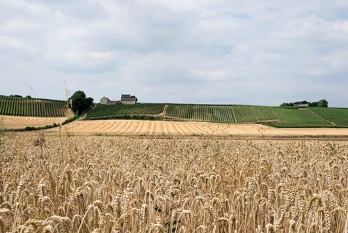 Extreme wateroverlast in Limburg aangepakt