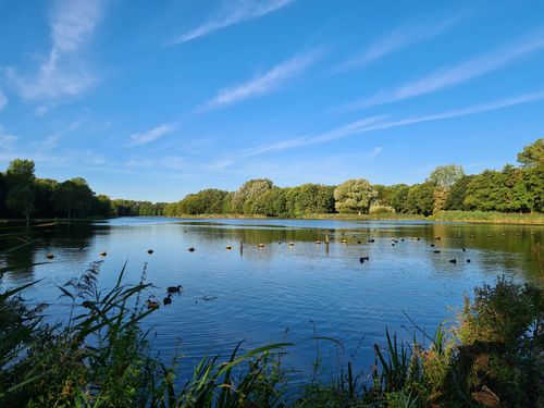 Boominventarisatie landschapspark Madestein Den Haag