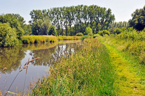 Wandelaar via Groene Haltes sneller in natuur