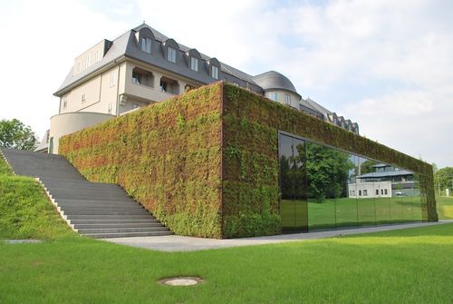 De sublieme groene ruimte