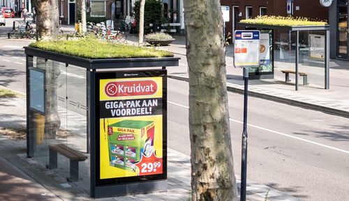 Primeur: sedumdak voor Utrechtse bushokjes
