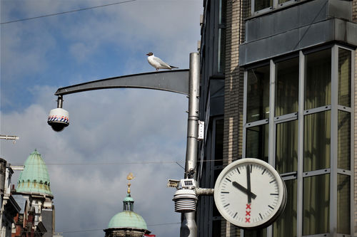 Meldingsplicht voor Amsterdamse dataverzamelaars in de openbare ruimte