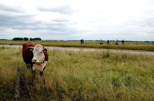 Tijdelijke Natuur maakt natuurwaarde zichtbaar