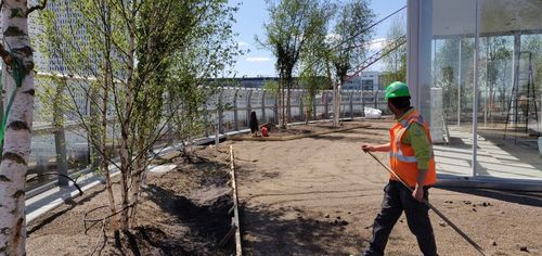 Foto: Norbert Waalboer Fotografie