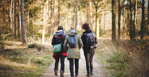 Aantrekkelijke, groene leefomgeving stimuleert beweging