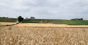Extreme wateroverlast in Limburg aangepakt