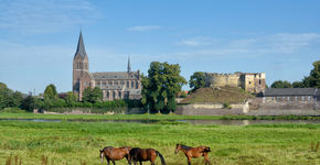 Provincie Limburg: 'Natuur kan banen opleveren'