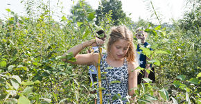 Tiny Forest geeft boost aan biodiversiteit