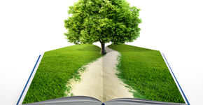 Webinar Omgevingswet en integrale aanpak 